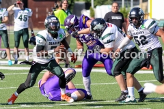 Wildcard-Vikings-vs-Dragons-79