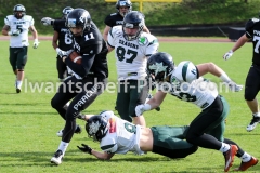 AFL2016-PanthersvsDragons-24