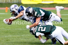 2018.06.03_Danube_Dragons_vs._Steelsharks_Traun-84
