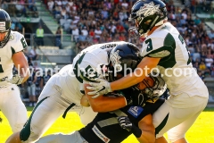 2018.06.17_Swarco_Raiders_vs._Danube_Dragons-22