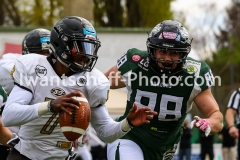 20190406_Danube_Dragons_vs._M_dling_Rangers-27