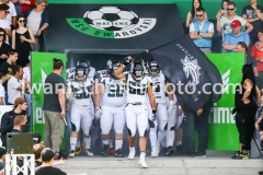 20190422_Swarco_Raiders_vs_Danube_Dragons-3