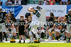 20190422_Swarco_Raiders_vs_Danube_Dragons-33