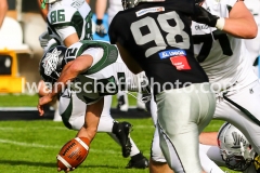 20190422_Swarco_Raiders_vs_Danube_Dragons-47