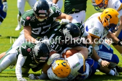 20190526_Danube_Dragons_vs._Graz_Giants-28
