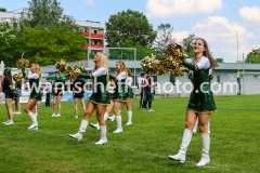 20190526_Danube_Dragons_vs._Graz_Giants-61