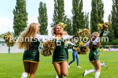 20190526_Danube_Dragons_vs._Graz_Giants-70