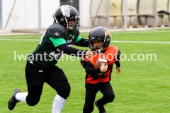 20191020_U11_Danube_Dragons_vs._Junior_Tigers-42