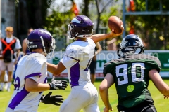 U16_Dragons_vs_Vikings-77