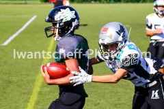 20190921_U13_Danube_Dragons_vs_Raiders-35